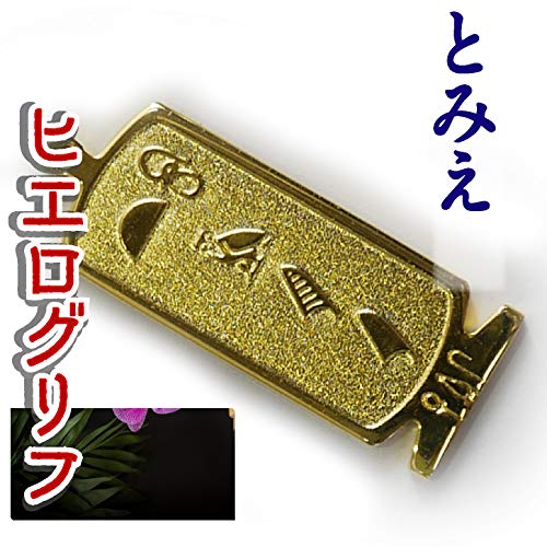 ヒエログリフ ペンダント 名前ネームネックレス 象形文字 ピラミッド 古代エジプト文字 ゴールド