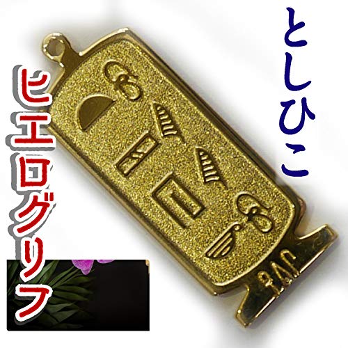 ヒエログリフ ペンダント 名前ネームネックレス 象形文字 ピラミッド 古代エジプト文字 ゴールド