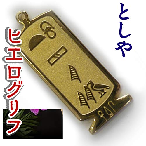 ヒエログリフ ペンダント 名前ネームネックレス 象形文字 ピラミッド 古代エジプト文字 ゴールド