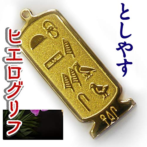 ヒエログリフ ペンダント 名前ネームネックレス 象形文字 ピラミッド 古代エジプト文字 ゴールド