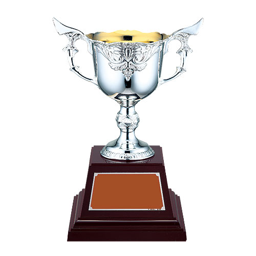 優勝カップ】アンチ製シルバーカップ DNO2137シリーズ（高さ125mm