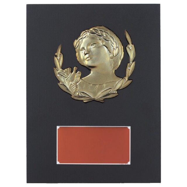 定番ロングセラー木製記念盾【表彰記念楯】 DVS5206シリーズ（サイズ