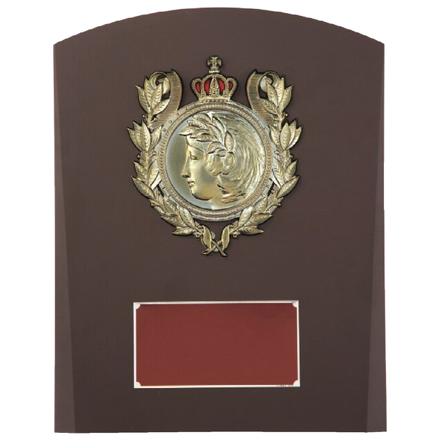 定番ロングセラー木製記念盾【表彰記念楯】 DVS5126シリーズ（サイズ