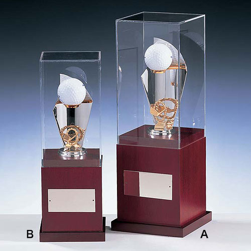 ゴルフ専用ホールインワン記念品トロフィー DBT3545 ワンランク上の
