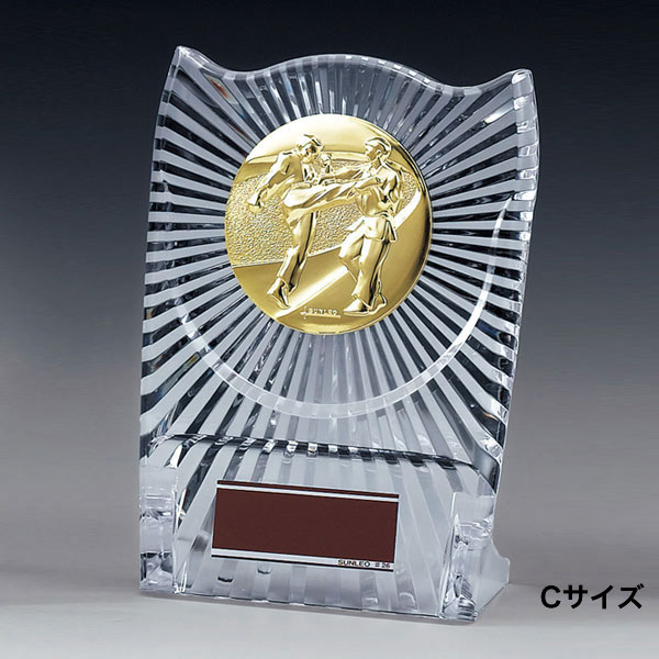 表彰記念楯】選べるメダル130種類！樹脂製楯 ATZ4477シリーズ【文字