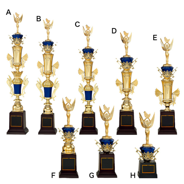 BW-2517【アクリル封入トロフィー】｜トロフィー、優勝カップ、メダルの専門店ギフト大洋公式通販サイト Express Medals 10パック アクリルサッカートロフィー チャンピオン賞 ギフト 賞品 トロフィー 10パック EG18