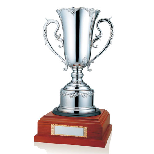 持ち回りオススメ優勝カップ】真鍮製シルバーカップ DPS1108シリーズ