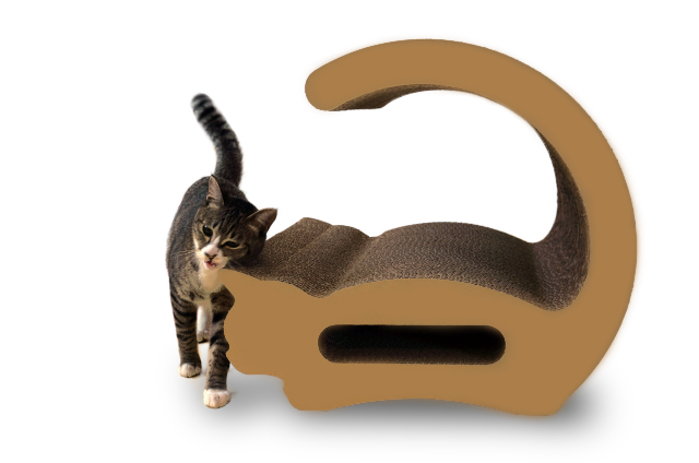 ロシアンブルー