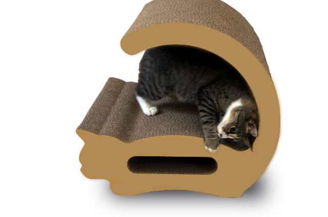 ロシアンブルー2