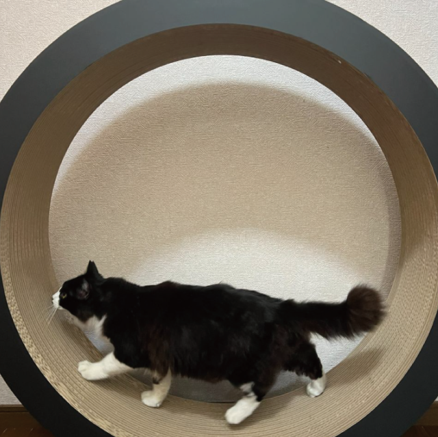 ホイール商品画像3