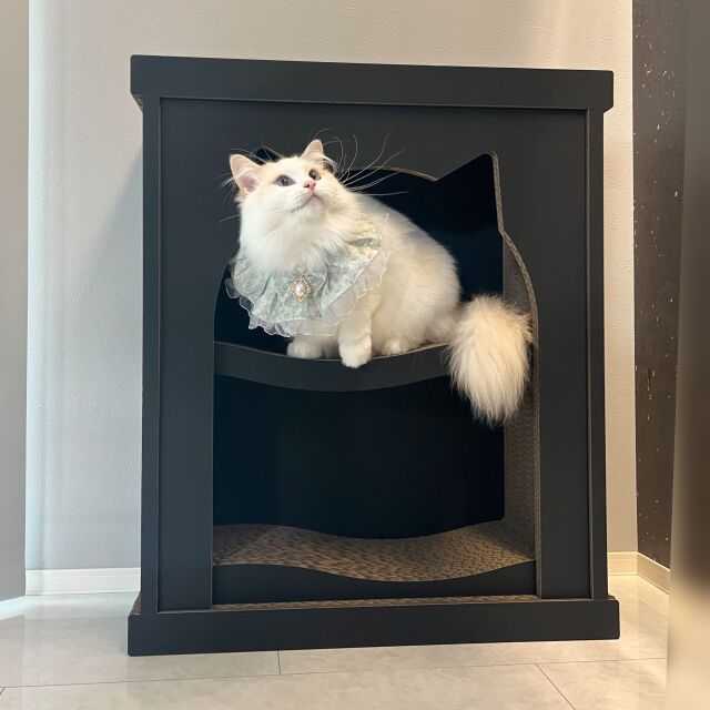 【Order】ねこねこ様用・マントルピース Order】ねこねこ様用・マントルピース 楽天市場】マントルピース