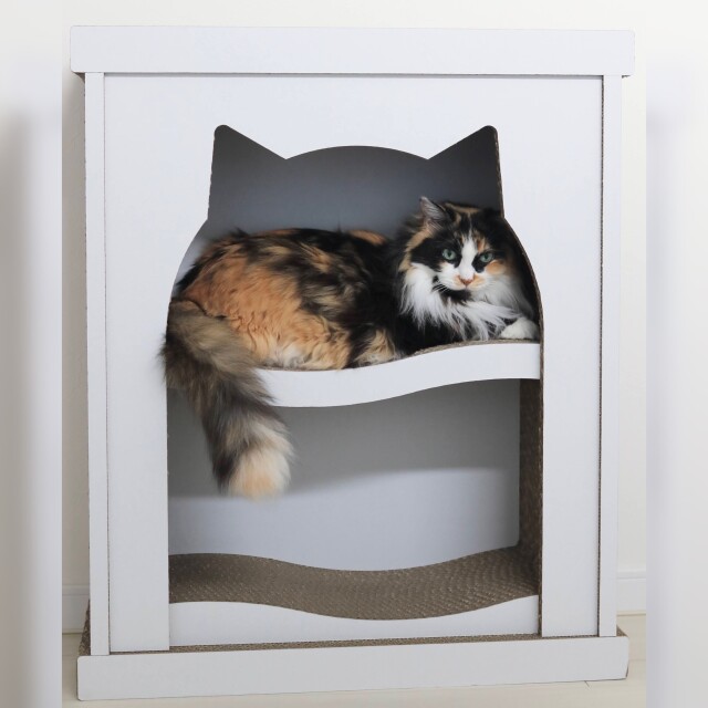 爪とぎシェルフ・ニャントルピース