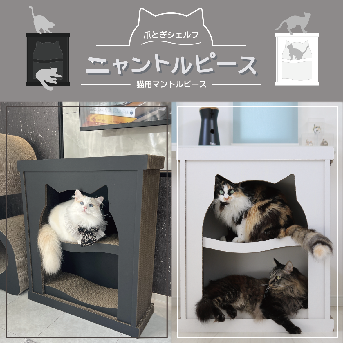 ニャントル1