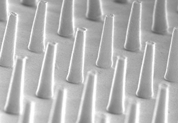 Simon　ソマレゾン9箱おまとめ Simon様専用 ソマレゾン9箱おまとめ 2023年9月号｜MonoMax（モノ