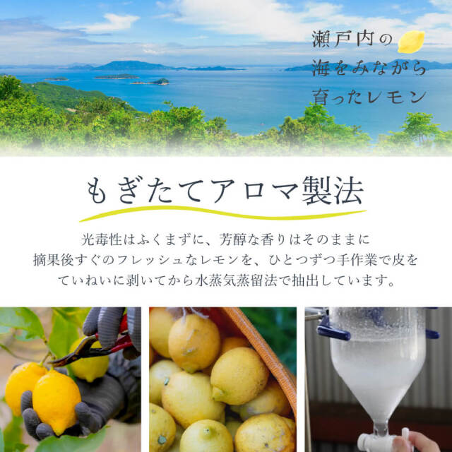 フルーツ入浴剤　もぎたてぶどうの香り　300個 フルーツ入浴剤 もぎたてぶどうの香り 300個