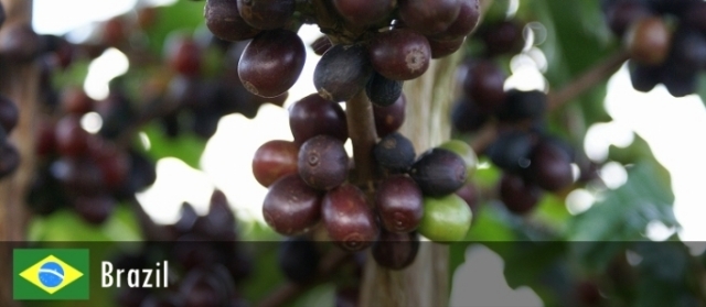 トミオフクダ３