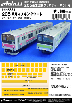 205系マスキングシート2輌