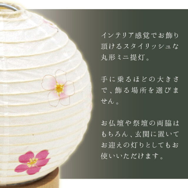 盆提灯 丸形 さくら ミニ ミニサイズ コードレス モダン 提灯