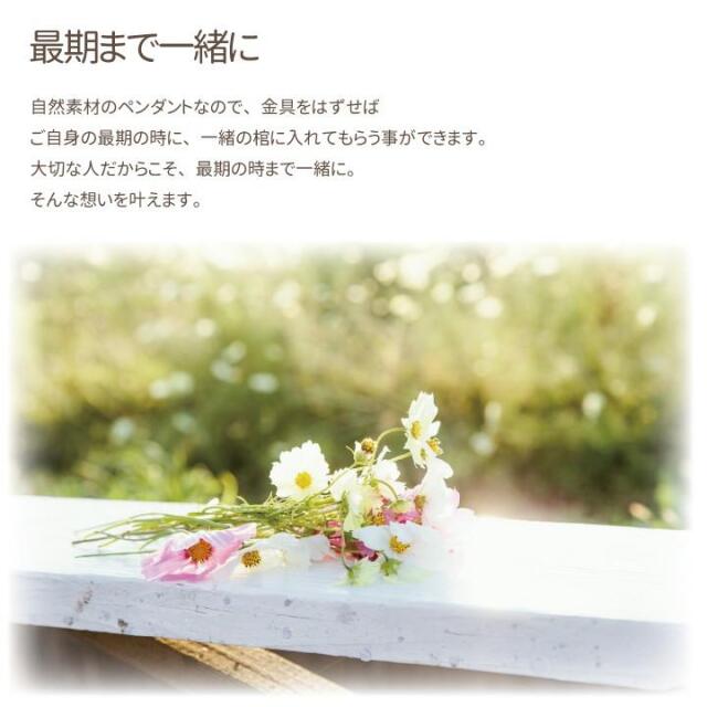 遺骨カプセル・遺骨ケース