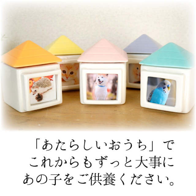 骨壷