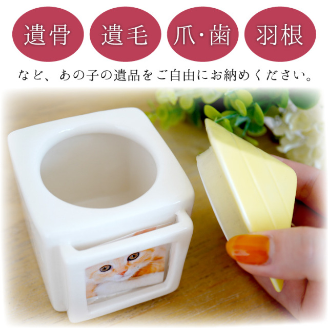骨壷