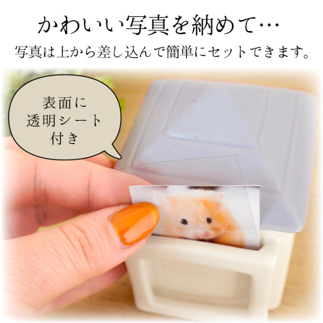 骨壷