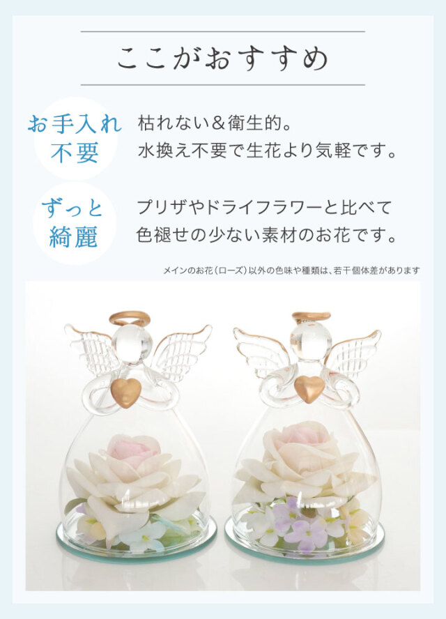 f00lu20-5.jpg?t=20250905113120