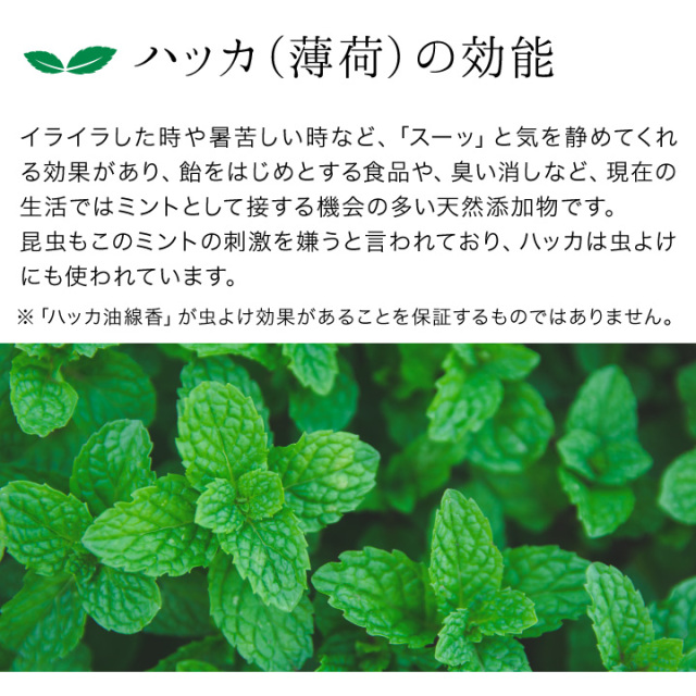 線香ろうそく