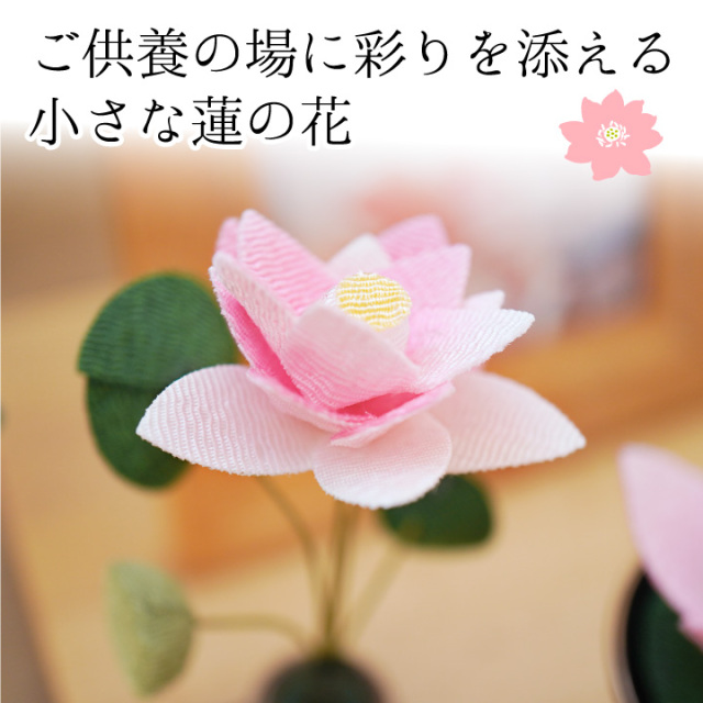 仏壇用供え花・お供え物