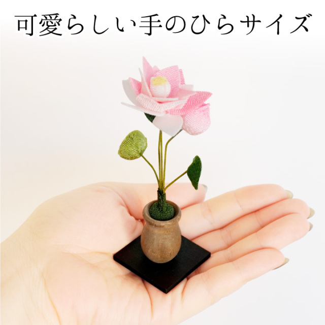 仏壇用供え花・お供え物