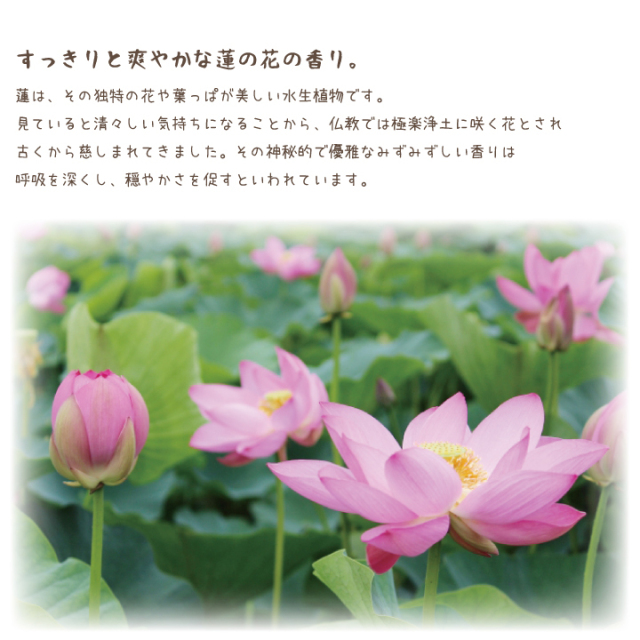 線香ろうそく