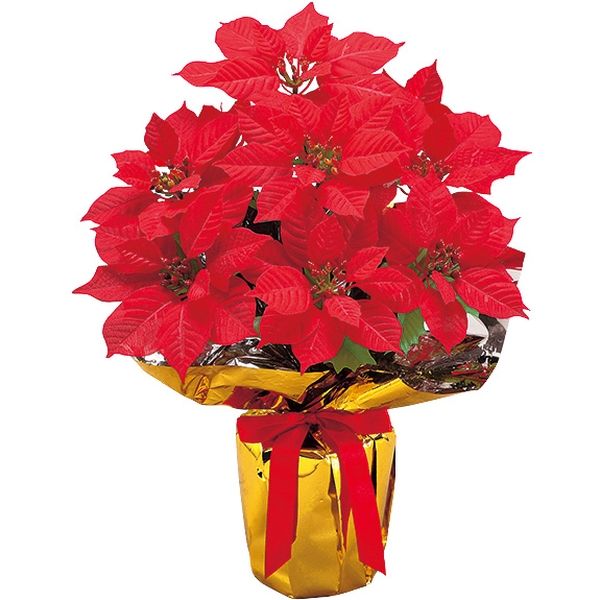 NEW ポインセチア ラッピング ポット 大 ※他商品と同梱不可 1001 造花 ディスプレイ フェイクフラワー クリスマス ウインター 飾り 冬装飾 販促グッズ 催事 イベント テーブル装飾 スタンド