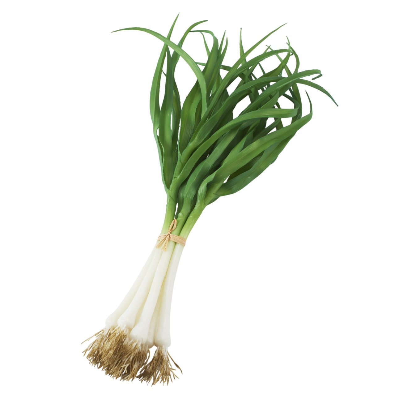 ネギ 6本束 ※食べられません FD3631 食品サンプル フェイクフード ディスプレイ 野菜 ねぎ 長ねぎ 葱