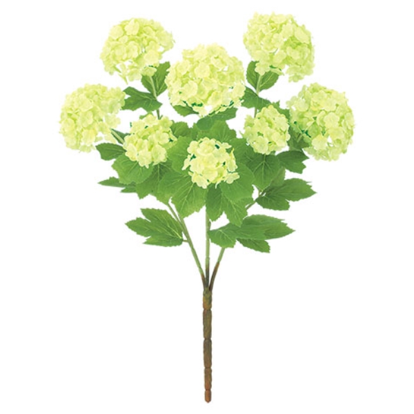 FLB8103LIME