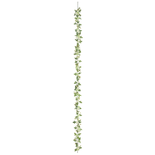 FLG3025LIMEMX