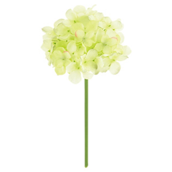FLP6013LIME