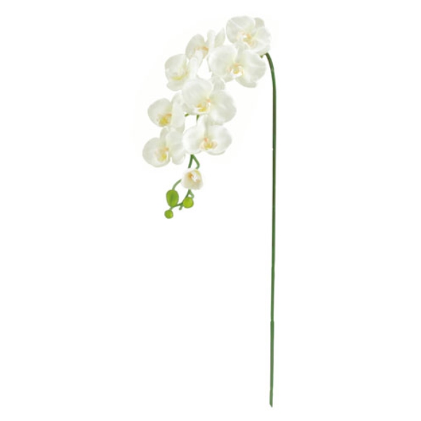 FLS5183LWH