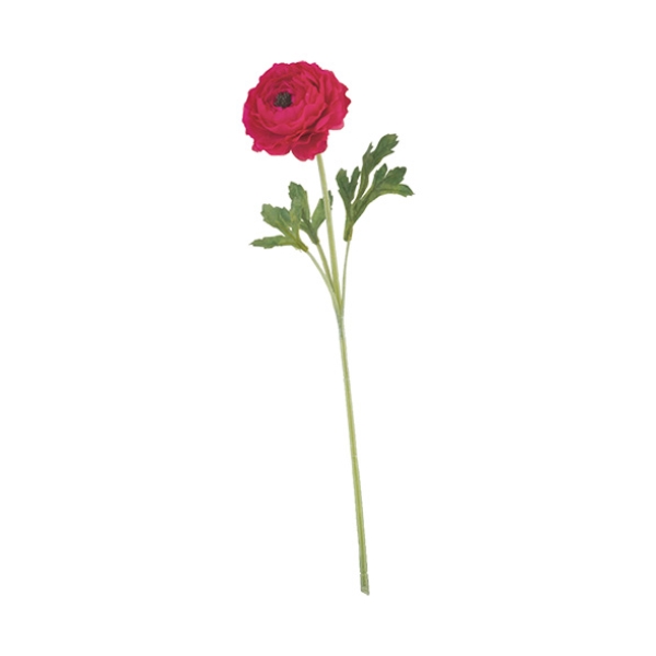 FLS5236AMBEA