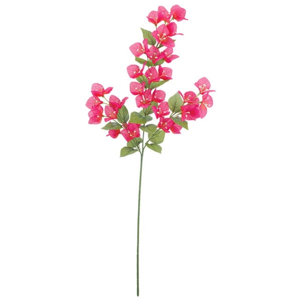 FLS5299