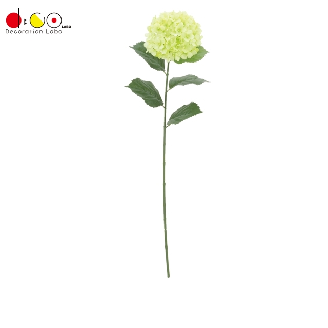 FLS5330LLIME