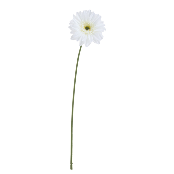 FLS5354WH
