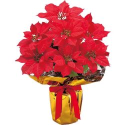 NEW ポインセチア ラッピング ポット 大 ※他商品と同梱不可 1001 造花 ディスプレイ フェイクフラワー クリスマス ウインター 飾り 冬装飾 販促グッズ 催事 イベント テーブル装飾 スタンド