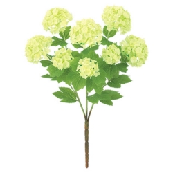 FLB8103LIME