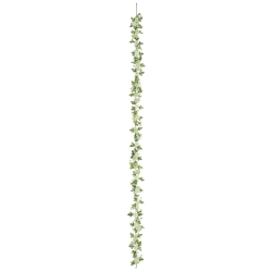 FLG3025LIMEMX