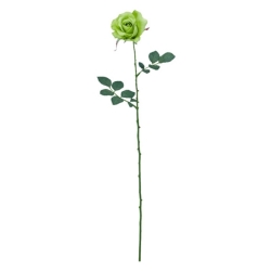 FLS0713FRGR