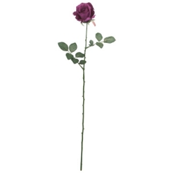 FLS0713GP