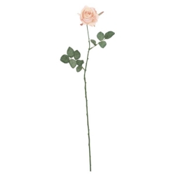 FLS0713PC