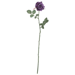 FLS0713PRPU