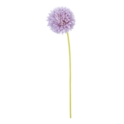 FLS5221ANLI