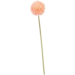 FLS5221PC
